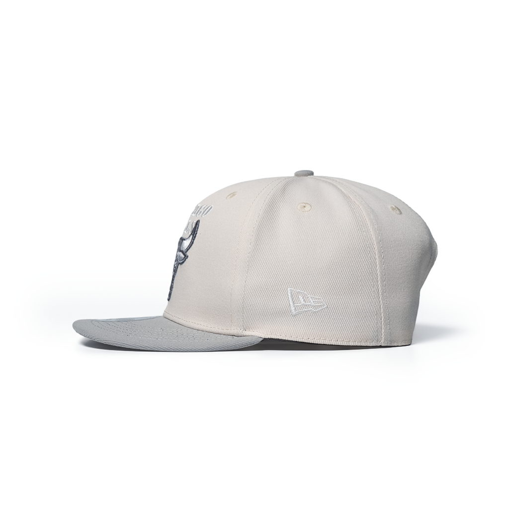NEW ERA 9FIFTY CHICAGO BULLS 6X CHAMPS CHROME TWO TONE EDITION