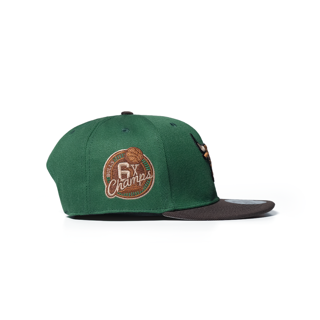 NEW ERA 9FIFTY CHICAGO BULLS 6 X CHAMPS GREEN TWO TONE EDITION