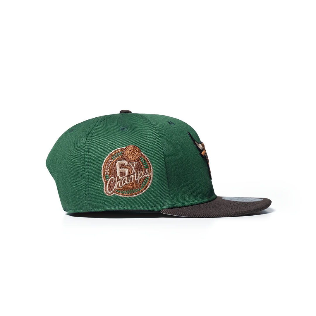 NEW ERA 9FIFTY CHICAGO BULLS 6 X CHAMPS GREEN TWO TONE EDITION