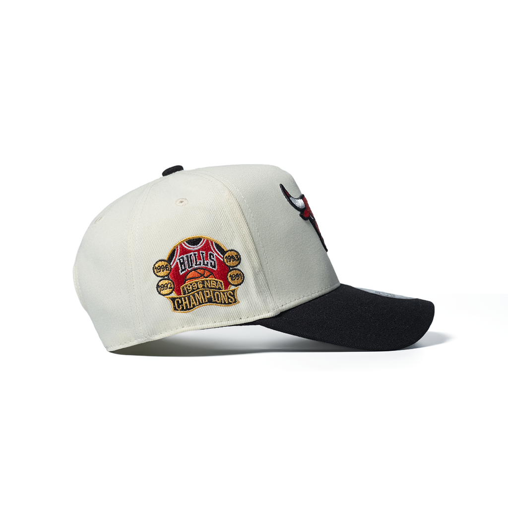 NEW ERA 9FORTY A-FRAME CHICAGO BULLS CLASSIC CHROME TWO TONE EDITION