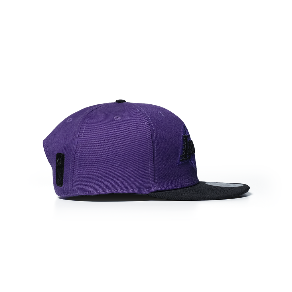 NEW ERA 9FIFTY LOS ANGELES LAKERS PURPLE BLACK TWO TONE EDITION